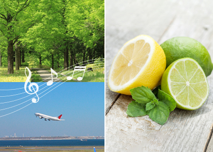 レモンやライムイメージ