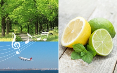 香りとBGMのお出迎え