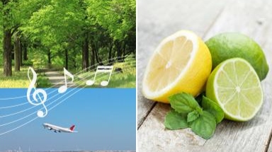 香りとBGMのお出迎え